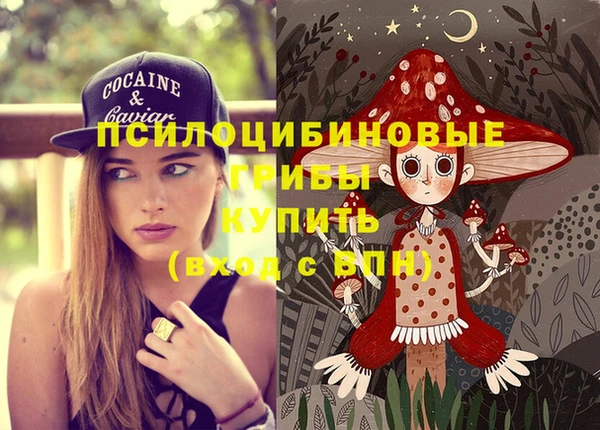 гидропоника Куйбышев